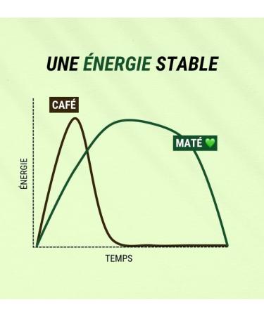  FRATE MATE Frat Mate Energy Drink Sport | Energy Drink Mate with Natural Caffeine (250ml Green Tea) - Buy Online on GoSupps.com