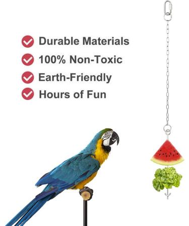 Chicken Toys for Hens Chicken Veggies Skewer Fruit Food Holder 3 Pcs Pet Chicken Vegetable Hanging Feeder Toy Stainless Steel Foraging Toy for Hens Large Birds Treat Skewer - Buy Online on GoSupps.com