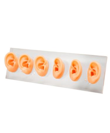 6 Pcs Silicone Ear Model Set for Hearing Aids with Acrylic Display Board - Buy Online on GoSupps.com