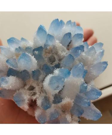 Home Decoration 400-700g Rare Beautiful Blue Ghost Phantom Quartz Crystal Cluster Specimen Stones ZJGIDTEM (Size : 500-600g) - Buy Online on GoSupps.com