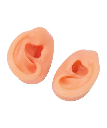 Simulated Long Lasting Ear Display Model for Hospitals - Supplier's Essential - Buy Online on GoSupps.com