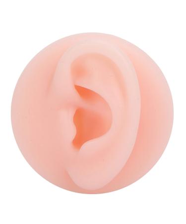 Fake Ear Model Silicone Smooth and Delicate Texture Human Ear Model Reusable for Teaching for Classroom for School for Laboratory(Left ear)