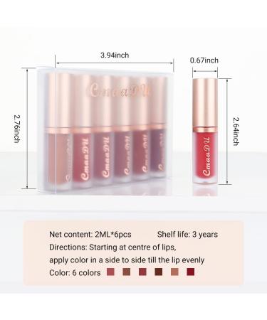Evpct 6Pcs Silky Velvet Matte Liquid Lipstick Set for Women - Long Lasting 24 Hours Color Stay Lip Gloss in Brown, Nude, Pink, Mauve, Red & Maroon - Buy Online on GoSupps.com