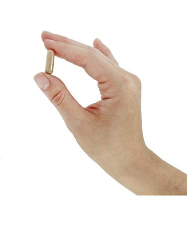 NOW Hawthorn Berry 540mg Veg Capsules - 100 Count (Pack of 4) | Heart Health Support - Buy Online on GoSupps.com