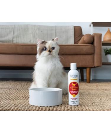 Juvenia Cats Resveratrol Pet Supplement - Anti Aging Antioxidant Gel for Senior Cats - Immune Support, Healthy Aging, Joint and Bone Strength - 8 oz - Buy Online on GoSupps.com
