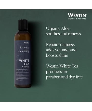 Westin White Tea Aloe Shampoo - Vitamin & Antioxidant-Packed 8oz- Ideal for All Hair Types - Signature White Tea Aloe Scent | 1-Pack - Buy Online on GoSupps.com