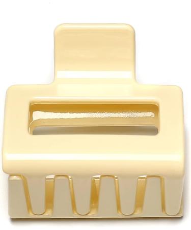 Small Jelly Square Hair Clip Beautiful Women's Hair Clip Headpiece Elegant Hair Accessory (Cream) - Buy Online on GoSupps.com