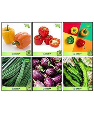 Seeds Online India Combo Flower and Vegetable Seeds Seeds Ridgegourd Snakegourd Winged Bean Revathy Orange Capsicum Red Peppers Yellow Pepper Kitchen Garden Pack - Buy Online on GoSupps.com