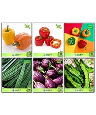 Seeds Online India Combo Flower and Vegetable Seeds Seeds Ridgegourd Snakegourd Winged Bean Revathy Orange Capsicum Red Peppers Yellow Pepper Kitchen Garden Pack