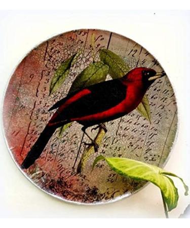 CrafTreat Bird and Butterfly Decoupage Paper - A4 Size - 8 Pcs Colorful Scrapbooking Paper for Crafts and Furniture - Buy Online on GoSupps.com