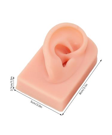 Flexible Reusable Human Ear Model for Acupuncture Training - 3pcs Right Ear, 3 Colors - Buy Online on GoSupps.com