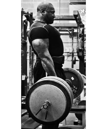 Pride Nutrition Time Released Protein Shake- Respect Protein Best Meal Replacement Shake for Women Or Men with Whey Protein Isolate, Micellar Casein, Flax Seed, Fiber - Buy Online on GoSupps.com