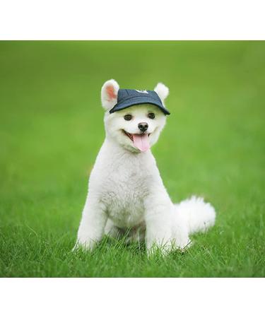 Shop Itoda Small Dog Baseball Caps - Adjustable Sun Protection Hat with Ear Holes for Dogs & Cats | Summer Sports Cap - Buy Online on GoSupps.com