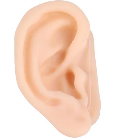 Buy Soft Silicone Ear Model | Fake Ear Display for Acupuncture & Piercing Practice | International Shipping - Buy Online on GoSupps.com