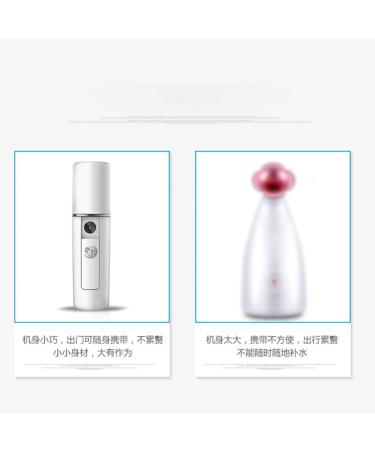 POPETPOP Portable Humidifiers Air Humidifier Portable Humidifer Mini Humidifier Spray Humidifier Skin Moistener Sprayer White The Face - Buy Online on GoSupps.com