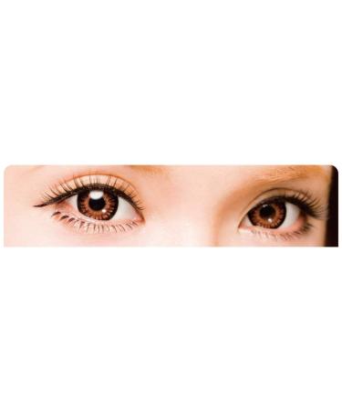 Dolly Wink Koji False Eyelashes 14 - Natural Cute | Shop Now - Buy Online on GoSupps.com