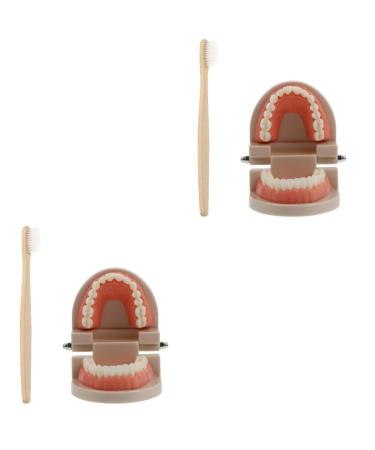 Ultechnovo 2 sentences for brushing your teeth tooth prosthesis model toys to brushing your teeth or