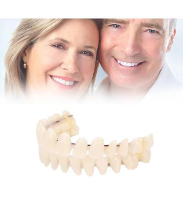 Temporary Teeth-Denture Resin Teeth for Making Partial or Full Denture Key Material for Fixing Damaged Teeth and Improving Confident Smile
