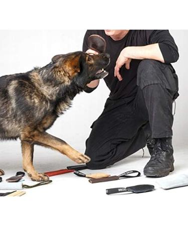 Dingo Gear S00227 Handmade Leather Dog Toy - Robust 12cm Chocolate Brown for International Shipping - Buy Online on GoSupps.com