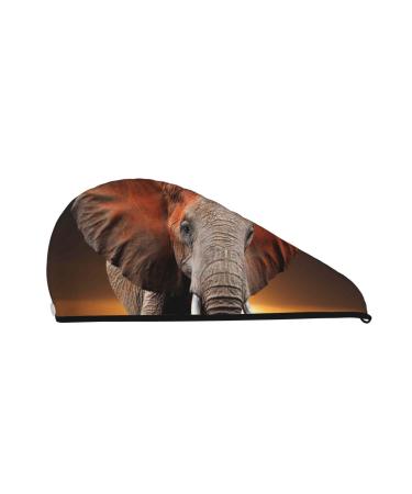 Elephant Sunset in Kenya Microfiber Hair Towel Soft Super Absorbent Hair Towel Wrap for Women Coral Velvet Quick Dry Hair Cap for Long Curly and Thick Hair