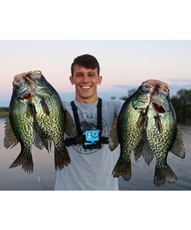 Catch Co Mystery Tackle Box Panfish & Trout Fishing Kit - Complete Set for Successful Fishing - Buy Online on GoSupps.com