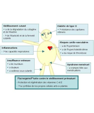 Buy Pycnogenol 30 Vegan 100mg Super Antioxidant Capsules - Allergen-Free Lab Tested by Horphag Research Switzerland | Fast International Shipping - Buy Online on GoSupps.com