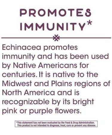 Nature's Way Echinacea Root Complex 900mg - 180 Vegan Capsules for Immune Support - Buy Online on GoSupps.com