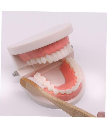 Shop Tovinanna 2-Sentence Toy for Early Dental Education | Fun Toothbrushing Model for Toddlers & Kids - Reusable Educational Puzzle Toy - Buy Online on GoSupps.com