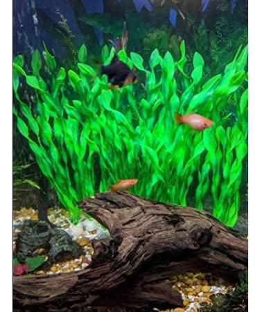 BEGONDIS Aquarium Decoration - 14pcs Artificial Green Aquatic Plants & Seaweed for Fish & Pets | Ships Internationally - Buy Online on GoSupps.com