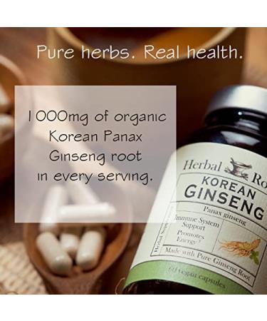 Organic Korean Ginseng Root Powder - 1000mg | High Ginsenosides for Energy & Focus - 60 Vegan Capsules - Made in USA - Buy Online on GoSupps.com