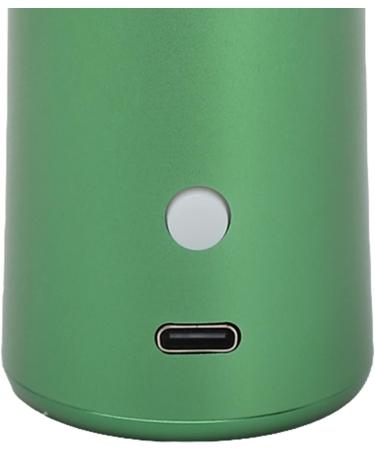 Facial Oxygen Injector Skin Rejuvenation Handheld Facial Oxygen Injector High Pressure USB Rechargeable Deep Moisturizing 3 Bottles for Home Use (Green) - Buy Online on GoSupps.com