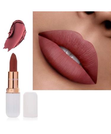 AQUAPURITY PHOERA ABSOLUTE VELVET MATTE LIPSTICK LONG LASTING WATERPROOF PIGMENT MAKEUP UK (109 Temp)