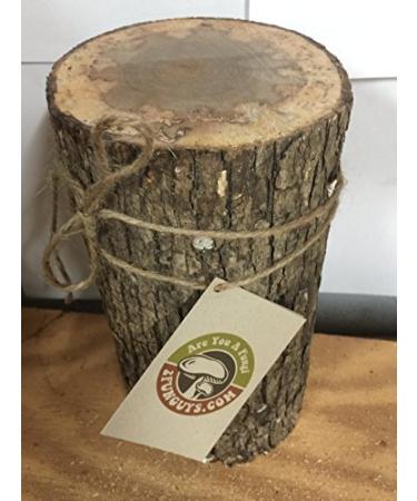 DIY Shiitake Mushroom Log Kit - Mr. Stumpy | Grow Your Own Mushrooms - Buy Online on GoSupps.com