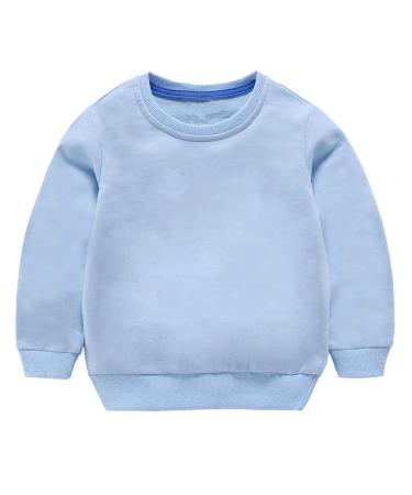 Taigood Kids Jumper for Boys Cotton Sweatshirt Long Sleeve T Shirts Pullover Autumn Winter Age 1-7 Years 2-3 Years Light Blue
