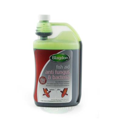 Blagdon Fast Acting Anti-Fungus & Bacteria Water Treatment for All Pond Fish Finrot Mouthrot External Bacterial Infections Wildlife & Fish Safe 1 Litre Clear 1 l (Pack of 1)