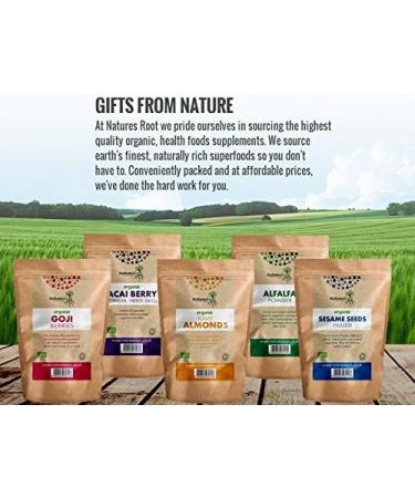 Natures Root 500g Nutritional Yeast Flakes - Premium Quality & Best Tasting - Buy Online on GoSupps.com