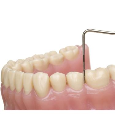 ReinerDENT3 Sensitive Denture Cleaner 100ml - Allergy-Friendly for Peek & Bio HPP Dentures - Buy Online on GoSupps.com