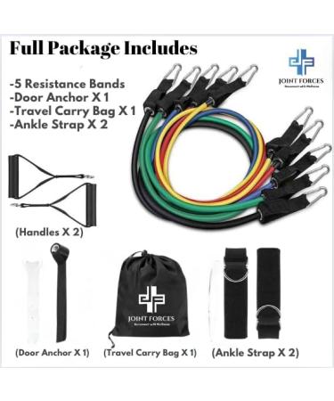 11-Piece Resistance Band Set for Home Workouts | Durable Strength Training & Therapy Bands with Handles Ankle Straps & Door Anchor - Buy Online on GoSupps.com
