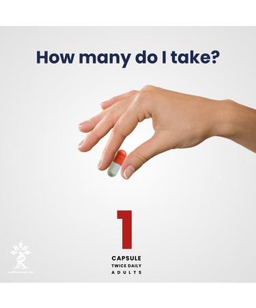 Qunol CoQ10 210mg Softgels - Ultra Antioxidant for Heart Health & Energy - 240 Count 120 Days Supply - Buy Online on GoSupps.com