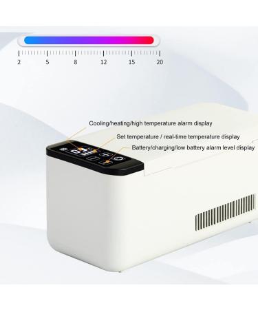 Portable Insulina Carrying Bag Medical Cooler for Diabetes Insulin Eye Drop Growth Hormones Injectables Mini Insulin Refrigerated Box for Diabetes People - Buy Online on GoSupps.com