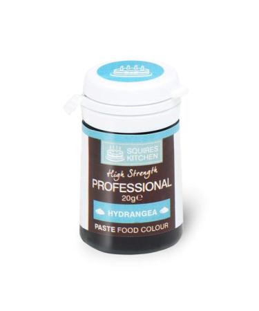 Squires Kitchen Professional Paste Colour - Hydrangea (20g)