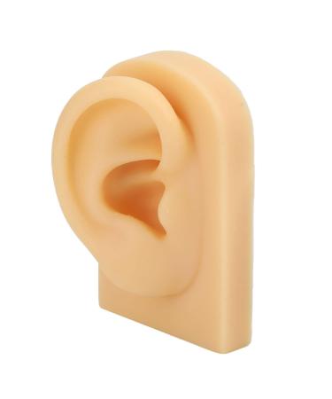 High-Quality Human Silicone Ear Model for Hearing Aid Display - Soft & Elastic Simulation for Beginners - Buy Online on GoSupps.com