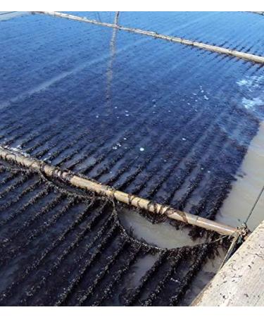 Sushi-Nori Organic Toasted Sushi Nori 200 Sheets - Buy Online on GoSupps.com