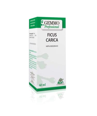 Ficus carica 60 ml Organic | Gemmo Professional