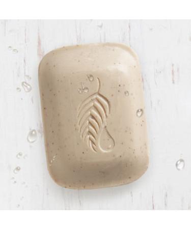 Melaleuca Exfoliating Body Bar Soap - Almond-Vanilla Scent | Nourishing & Exfoliating | Shop Internationally - Buy Online on GoSupps.com