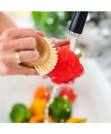 Full Circle The Ring Fruit and Vegetable 2 in 1 Fruit & Vegetable Cleaning Brush  Small (Pack of 1)  White - Buy Online on GoSupps.com