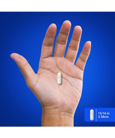 Piping Rock L-Carnosine 500mg Capsules - Amino Acid Supplement | Non-GMO & Gluten Free - 90 Count - Buy Online on GoSupps.com