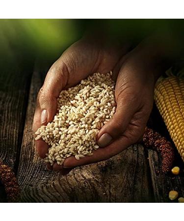 Buy Biozentrale Millet-Corn Rice Cakes - Pack of 12 (100g each) | Healthy Snacks International Shipping - Buy Online on GoSupps.com