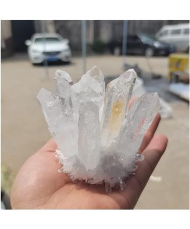 Stone Crafts Natural Clear Quartz & Yellow Quartz Cluster Decoration White Crystal Cluster Column Point Resistant ZJGIDTEM (Size : 600-700g) - Buy Online on GoSupps.com