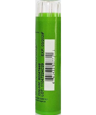 Streptococcinum MK (1M) Homeopathy Medicine - 90 Pellets by Schmidt-Nagel | Buy Online in Canada - Homeodel - Buy Online on GoSupps.com